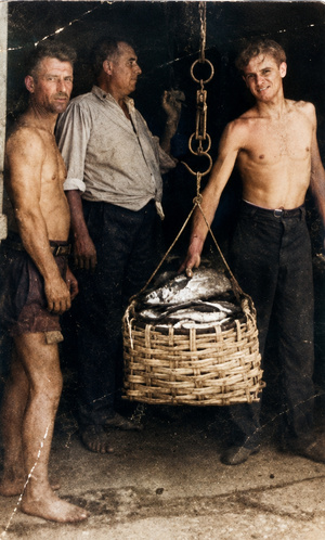 Le produit de la mer, apporté par le sbutaragatu (Almanaccu dì Bastia è u sò circondu)