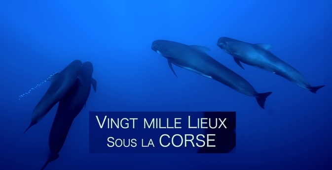 France 3 Corse ViaStella fait sa rentrée entre nouveautés, grands rendez-vous politiques et essor du numérique