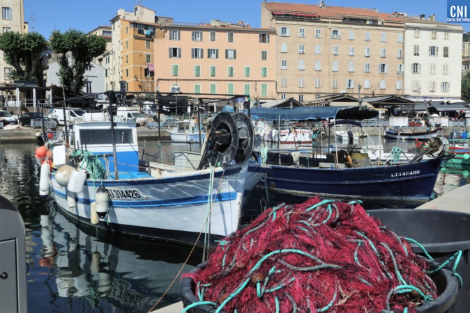 (Photo port d'Ajaccio - Archives Michel Luccioni)