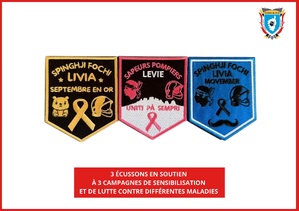 À Levie, les pompiers récoltent 1800 euros pour La Marie-Do et Inseme À Levie, les pompiers récoltent 1800 euros pour La Marie-Do et Inseme