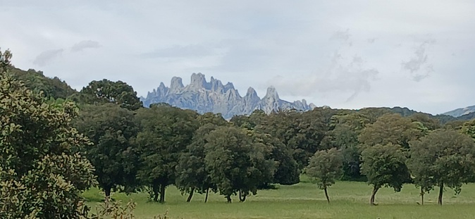 (Patrice Luciani)