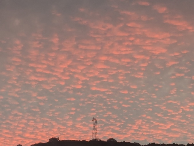 (Photo : François Marie Luciani)