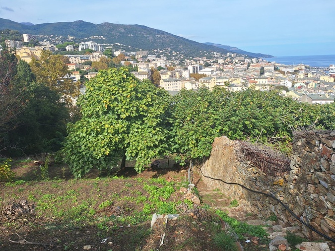 Bastia - Quand des jeunes redécouvrent les métiers du patrimoine