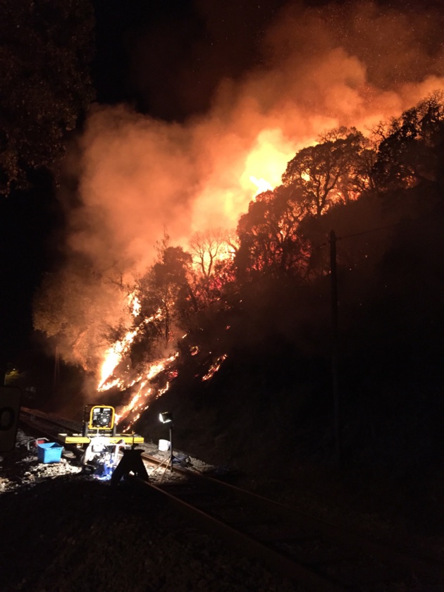 Ajaccio : Un violent incendie a détruit 5000 m2 de maquis à l'entrée de la ville Ajaccio : Un violent incendie a détruit 5000 m2 de maquis à l'entrée de la ville