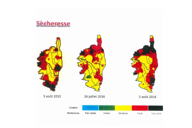 Sécheresse et incendie : Le préfet de Haute-Corse fait le point sur le dispositif de secours