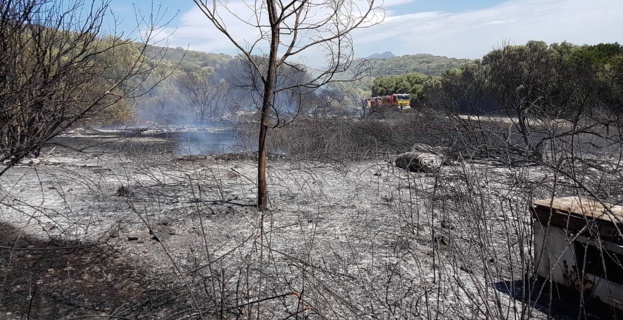 (Crédit photo © SP)