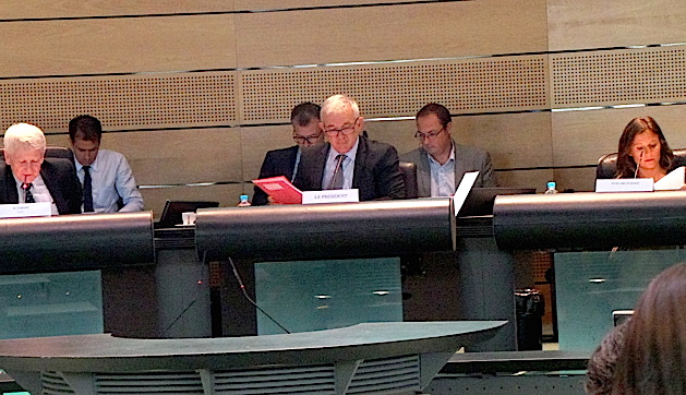 Collectivité unique : Le Département de la Haute-Corse et les ordonnances