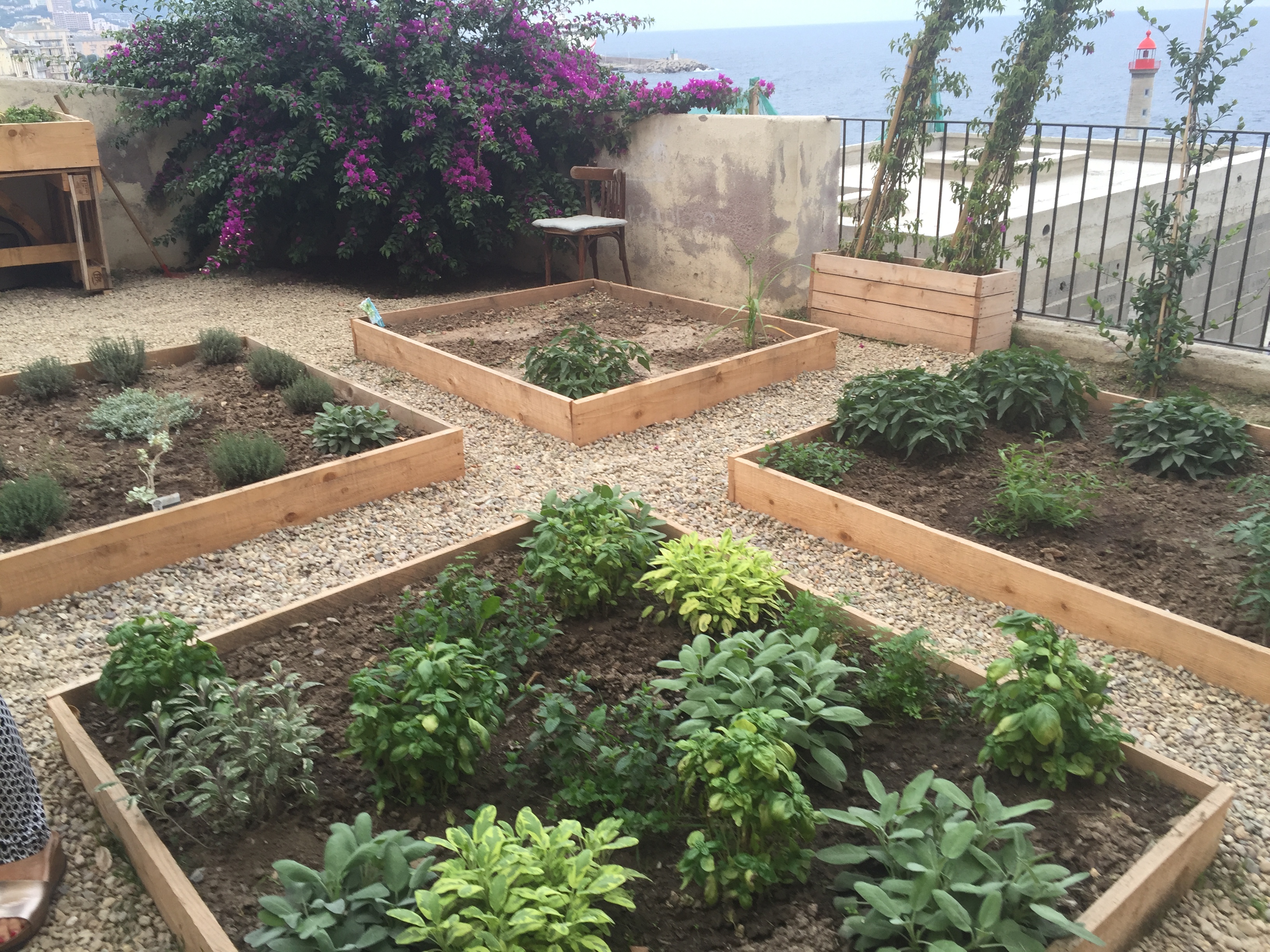 La Ville de Bastia inaugure son premier jardin participatif à la Citadelle 