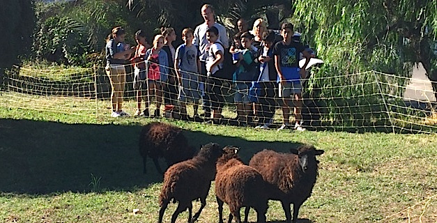 Le lycée agricole de Borgo alerte le public sur les dangers des pesticides