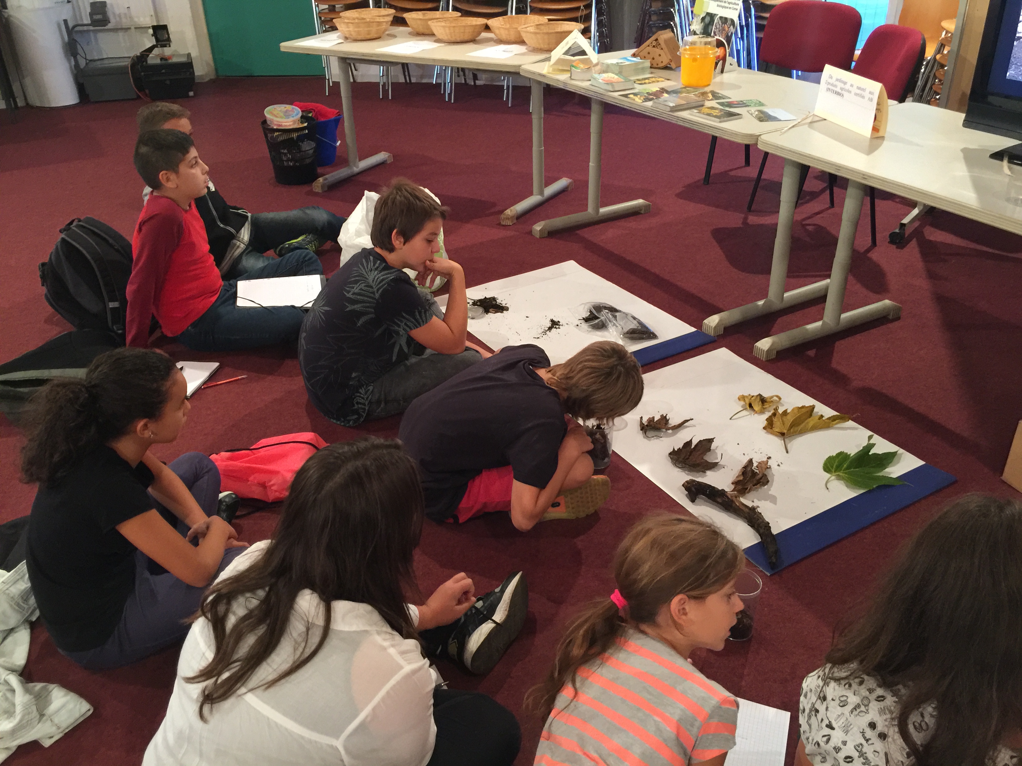 Le lycée agricole de Borgo alerte le public sur les dangers des pesticides