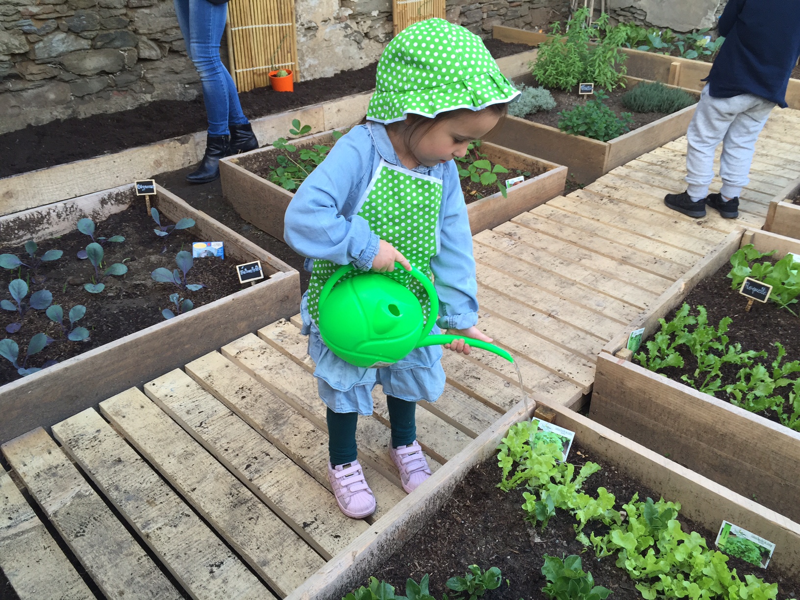 A l’Ecole de Cardu, les élèves sont des jardiniers en herbe