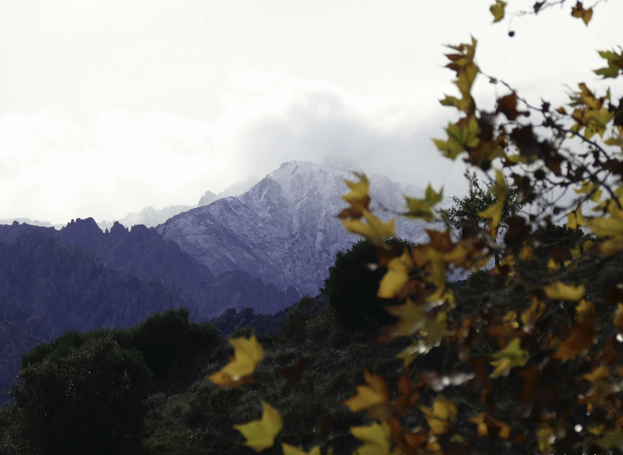 (Photo Carine Poletti-https://www.facebook.com/pages/Corsica-the-Island/310747848962492)