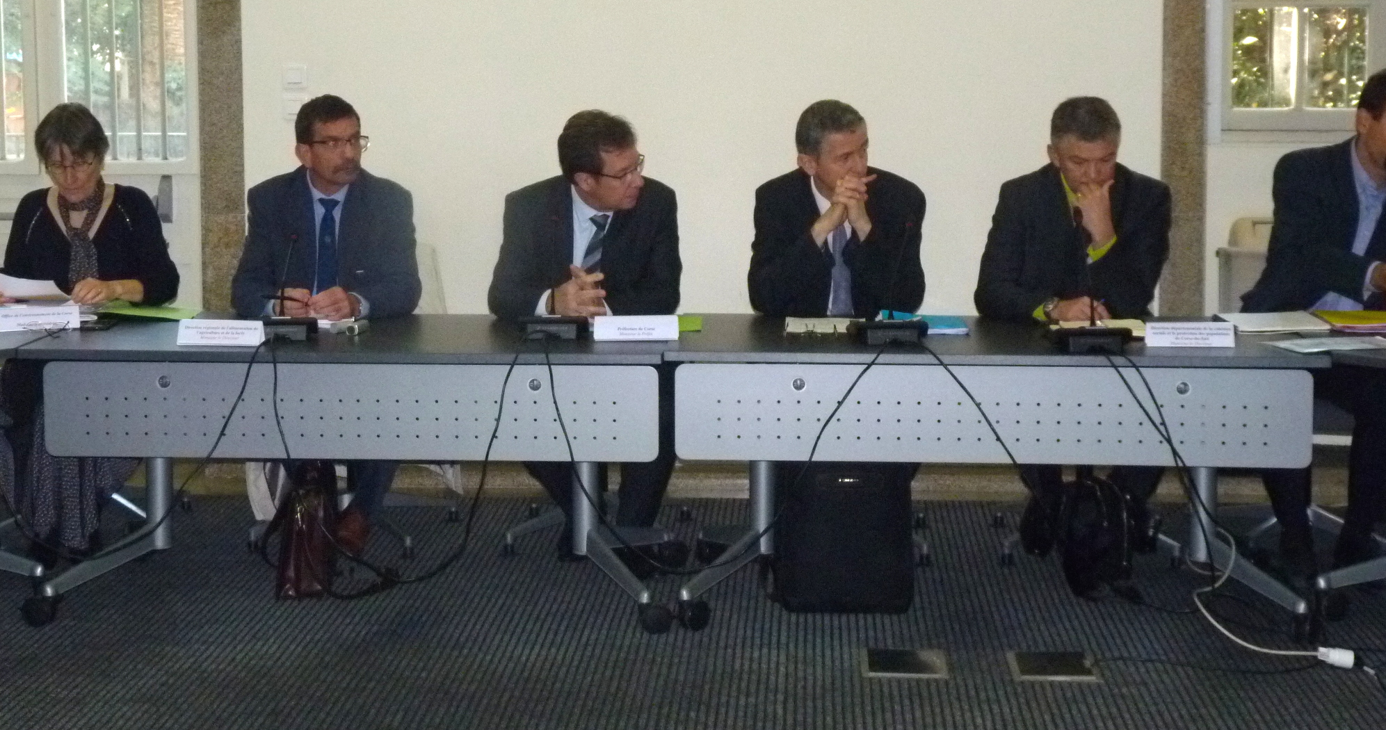 Xylella fastidiosa en Corse : Une lutte de tous les instants