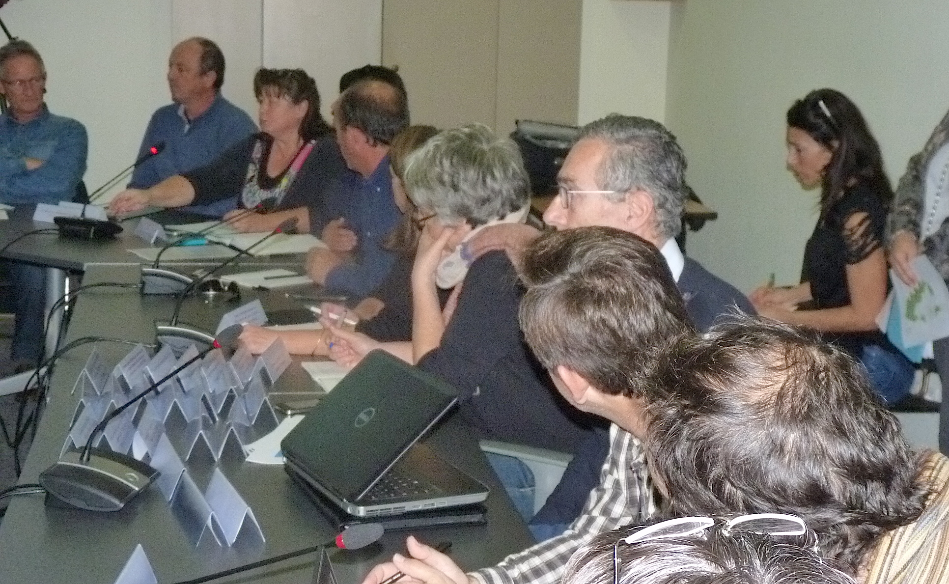 Xylella fastidiosa en Corse : Une lutte de tous les instants