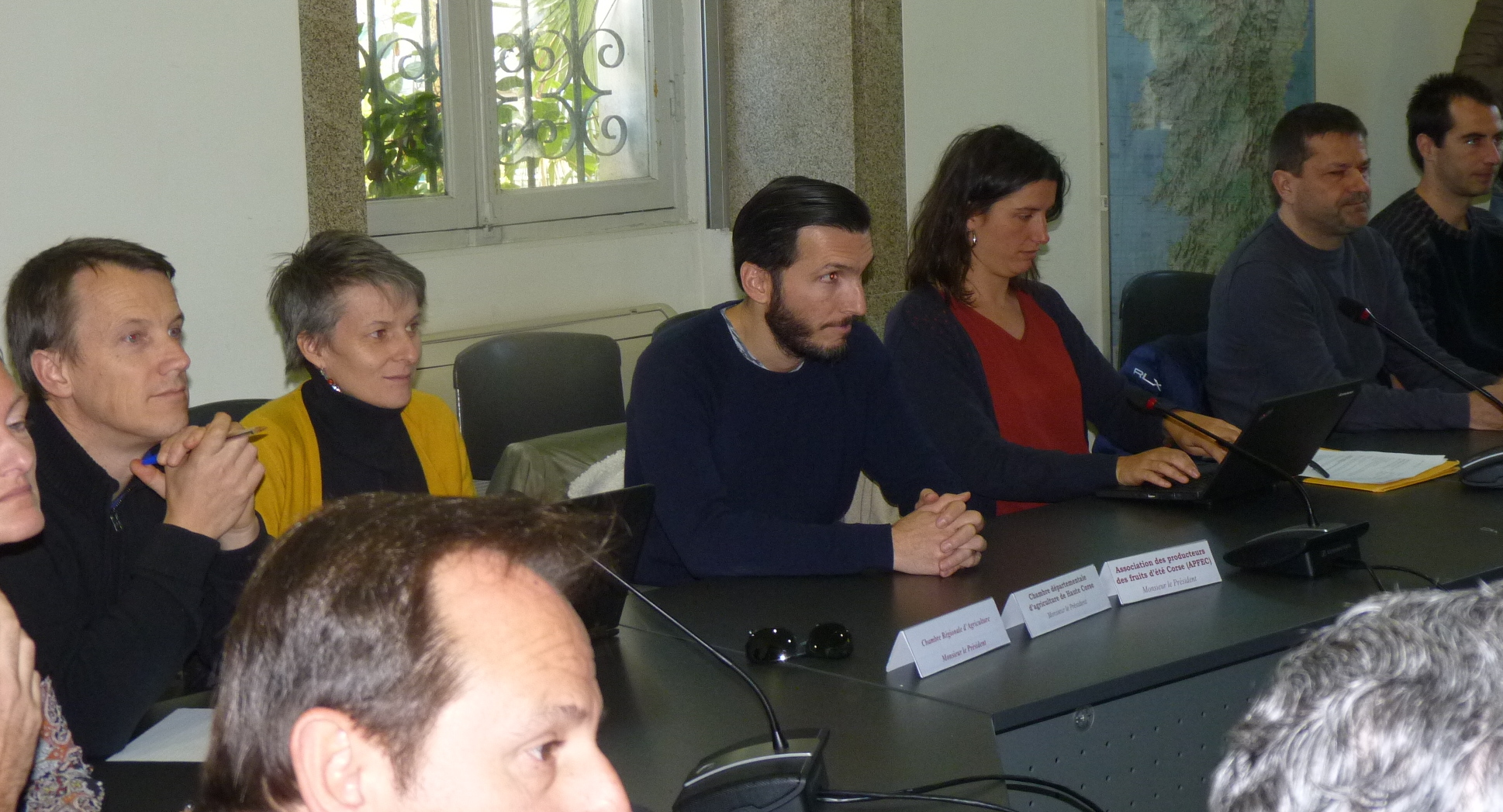 Xylella fastidiosa en Corse : Une lutte de tous les instants