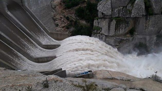 (Photos et vidéo Dada Rotily-Forcioli)