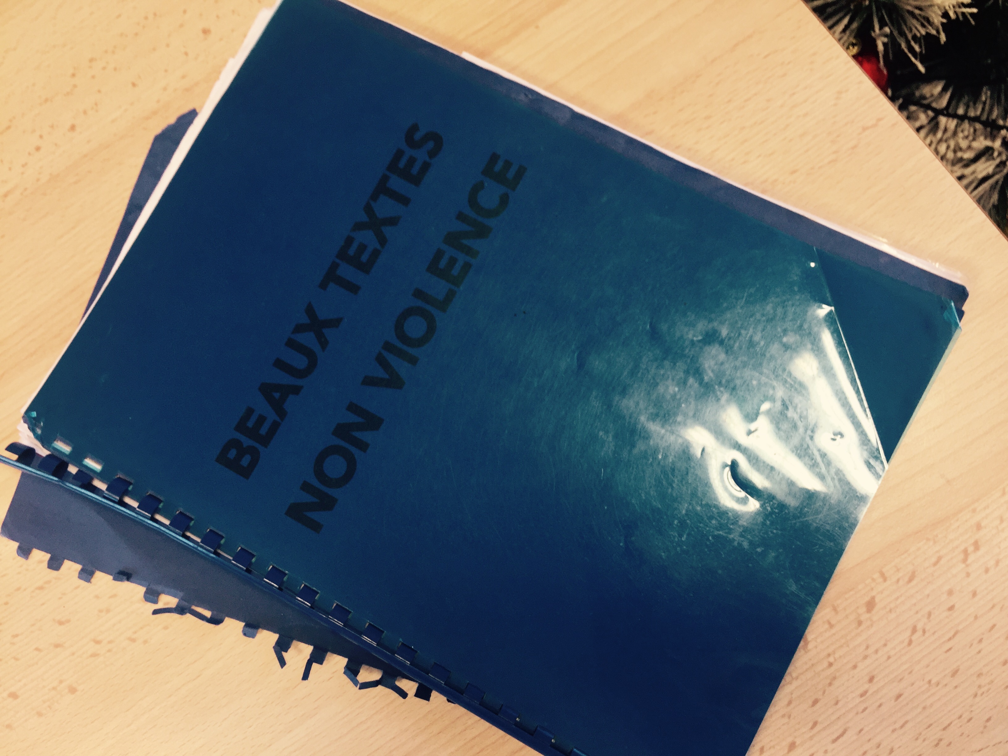 Jean-François Bernardini : « Nous sommes tous des ambassadeurs de la non violence"