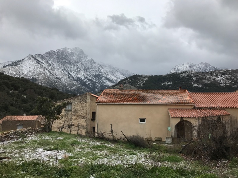 La Balagne touchée par le vent et la vague de froid