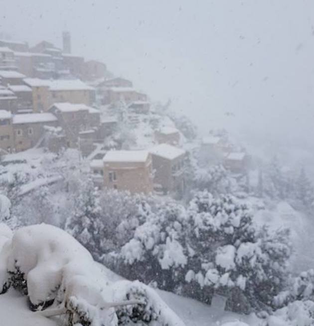 Pratu di Ghjuvellina (P. Nasica)