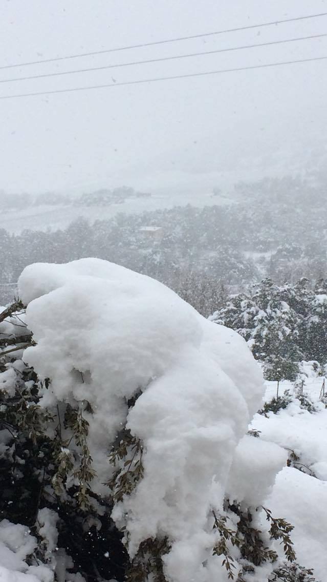 Ponte-Leccia (Jean-Daniel Olive)