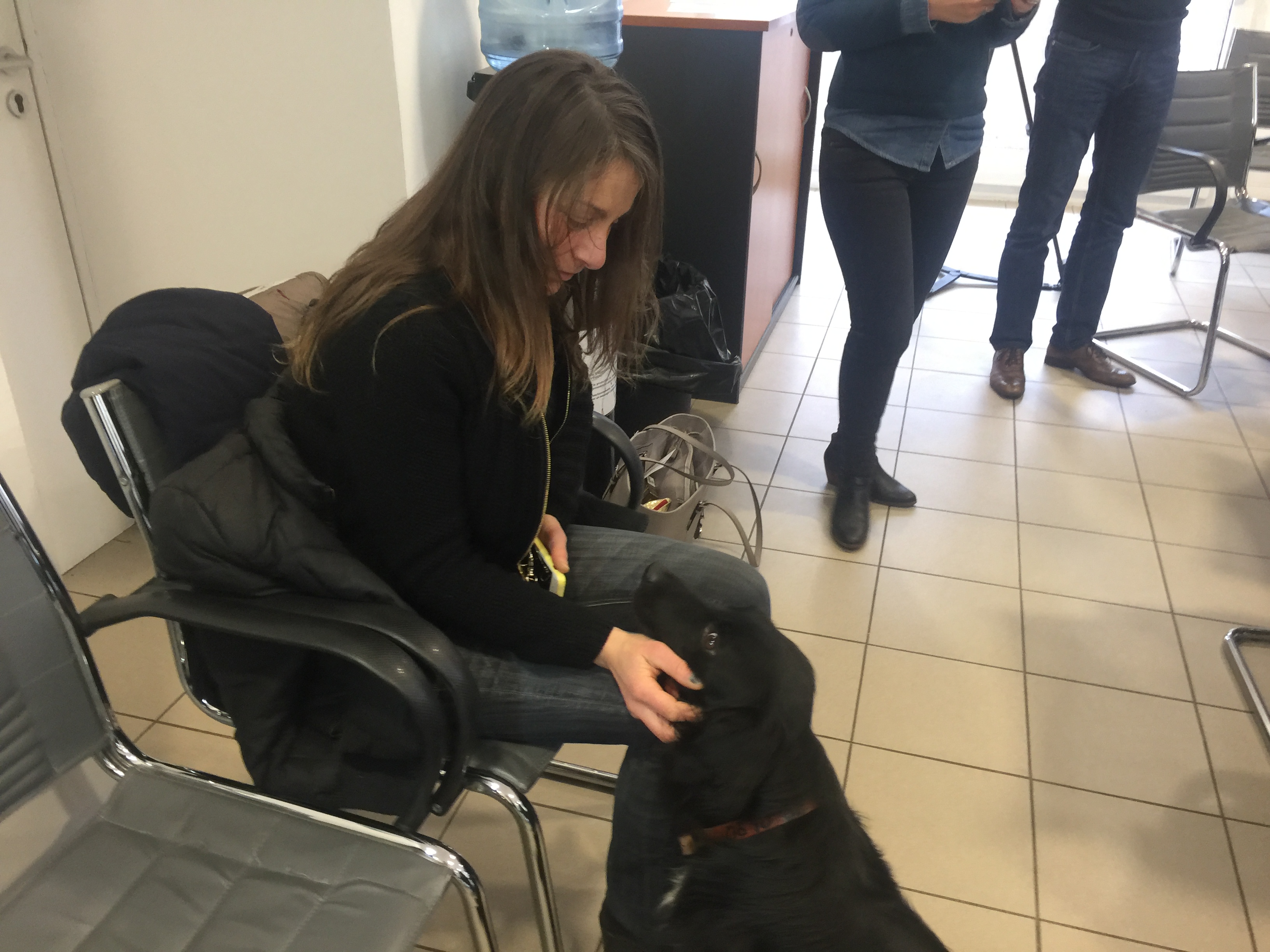 La SPA et la CAB s'associent pour la gestion de la fourrière animale