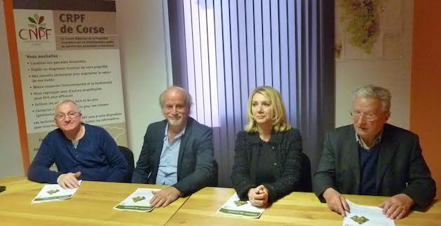 Centre Régional de la Propriété Forestière de Corse : Des élections pour faire prospérer la filière forêt-bois-liège