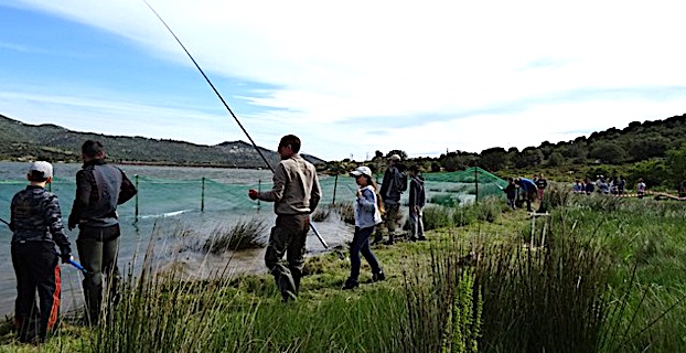 Création de l'école de pêche Balagne-Environnement