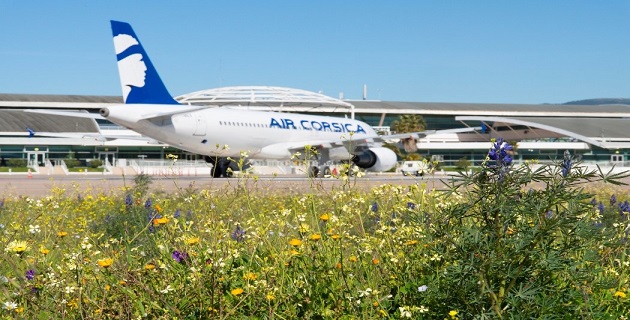 HOP! Biodiversité : Sous le tarmac d'Ajaccio, la nature !