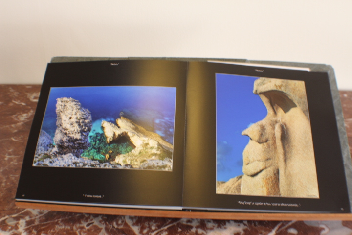 Des rencontres d’exceptions par le biais de formes insoupçonnées, qui foisonnent en apparences humaines, animales et prouesses géométriques