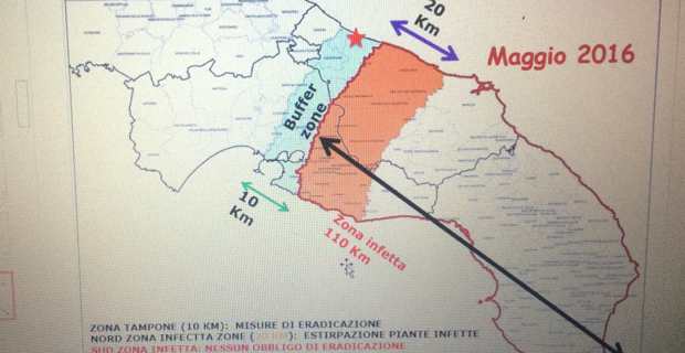 Le périmètre actuel de l'épidémie dans les Pouilles.