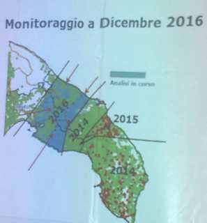 L'évolution de l'épidémie dans les Pouilles.