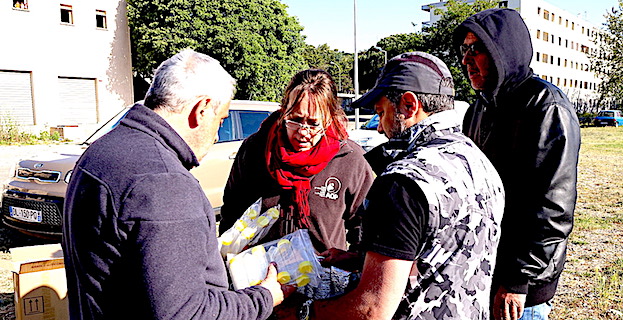 Corse : La lutte contre le Cynips du châtaignier se poursuit