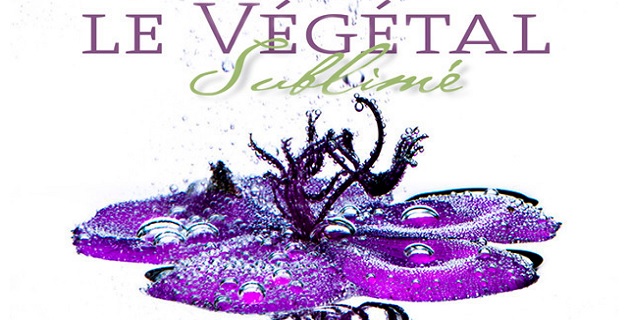 Bonifacio dévoile Fola Flora, un projet artistique réalisé sur deux années