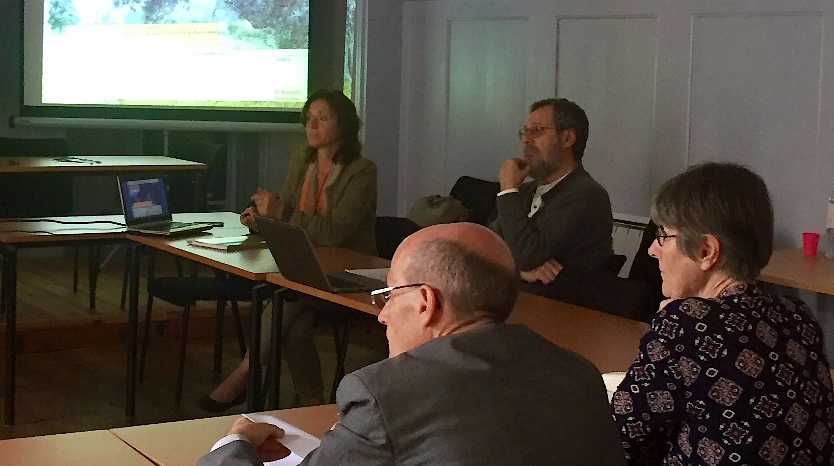 Xylella Fastidiosa en Corse : Un comité de pilotage pour une étude qui s'étendra sur 3 ans