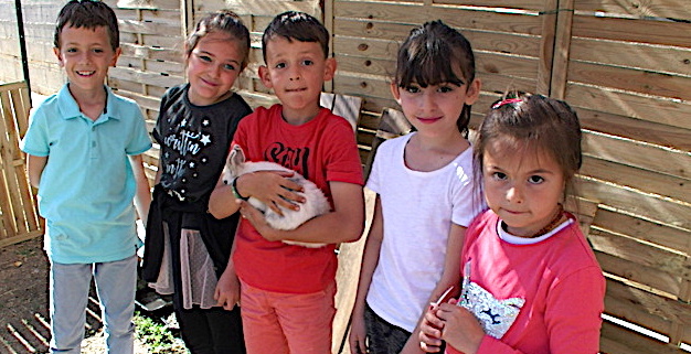 Furiani : Quand les élèves cultivent leur jardin…