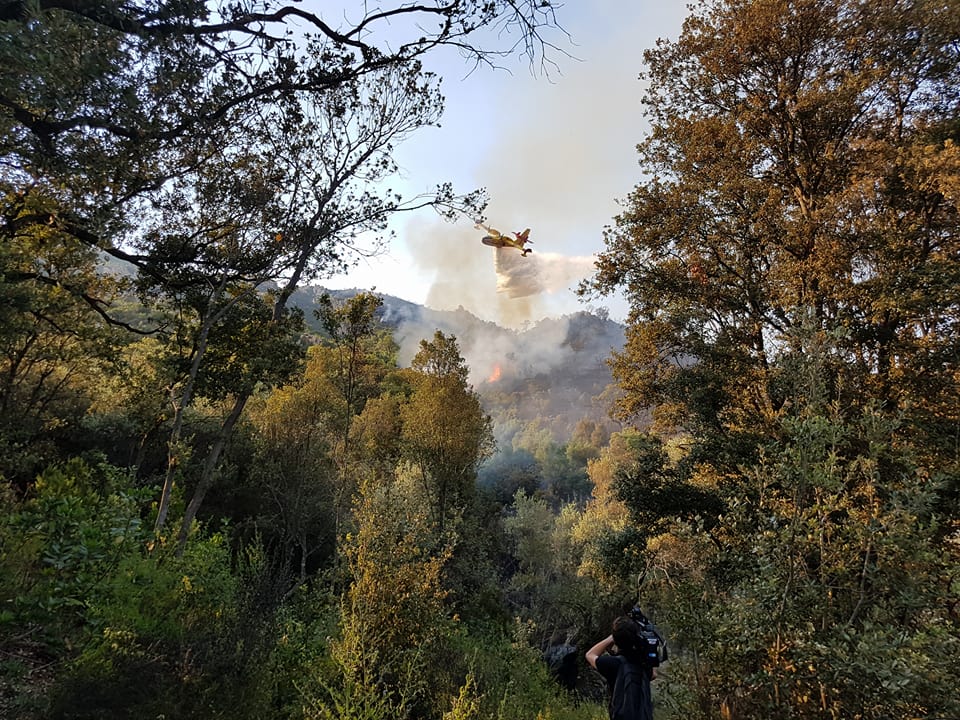Sarrola : 50 hectares partis en fumée