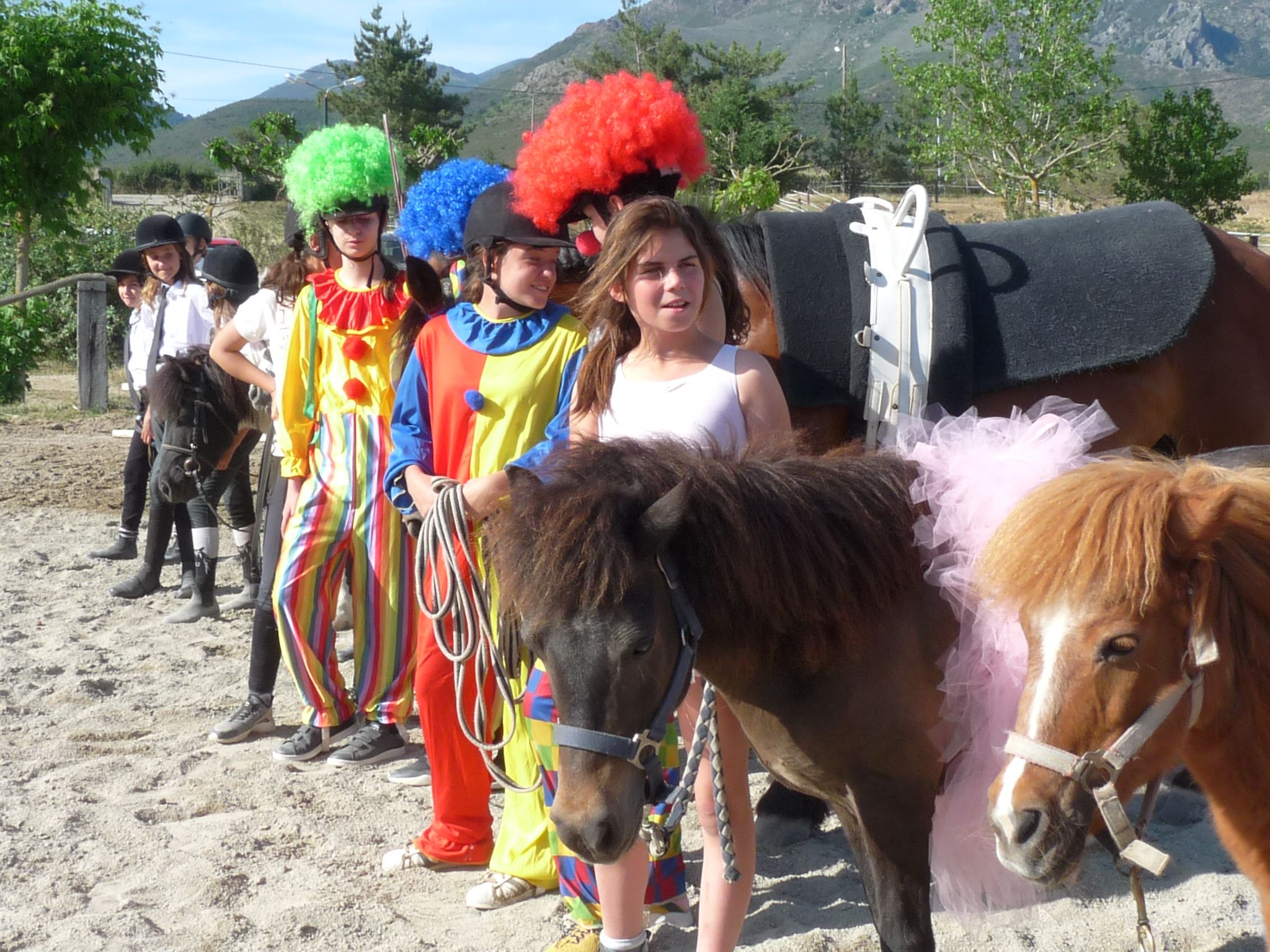 Corte prépare la 26ème édition de Cavall'in Festa