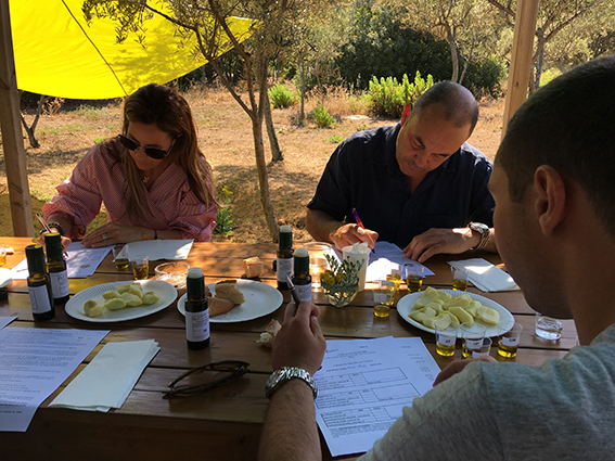 Les lauréats du 9e concours  Oliu di Corsica AOP désignés au Parc de Saleccia