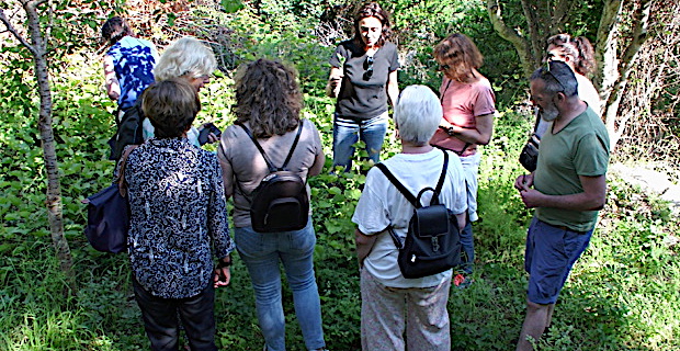 Bastia : A la découverte des jardins du Guadello