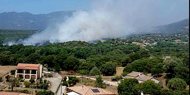 Bastelicaccia : Des habitations menacées par un feu de maquis