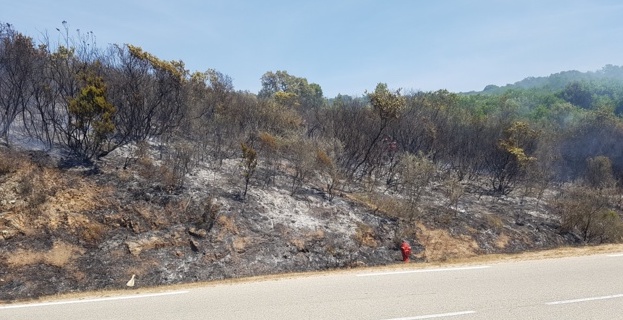 (Photo Marcu-Antone COSTA)