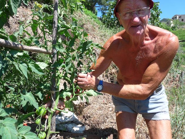 Vezzani : Comment réussir son jardin à 800 m d'altitude ?