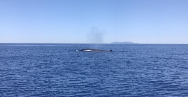 (Photo et vidéo Thierry Herrmann)