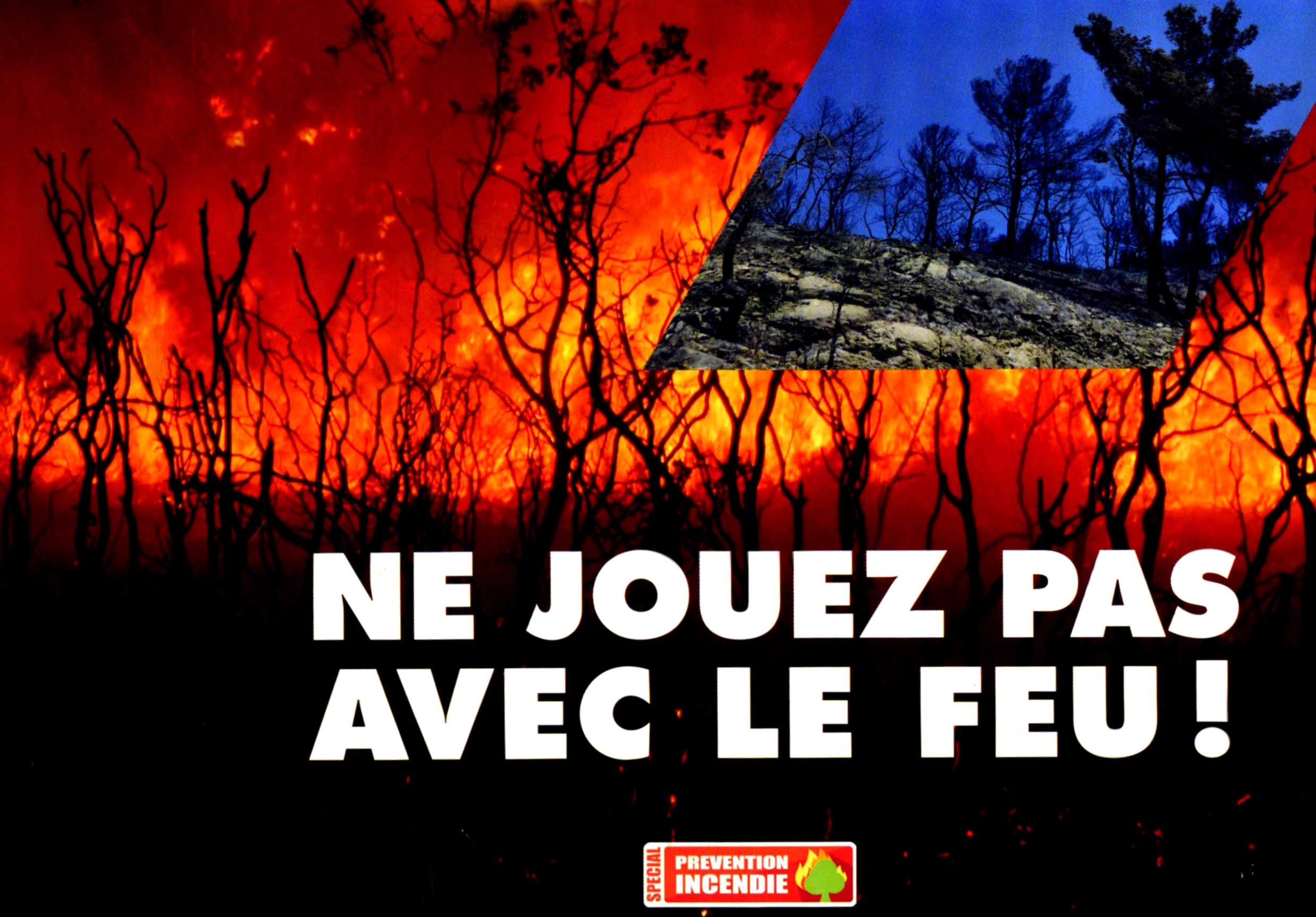Les réserves communales de Haute-Corse engagées dans la prévention du risque d’incendie