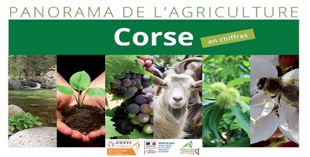 Le « Panorama de l’agriculture en Corse » un document essentiel