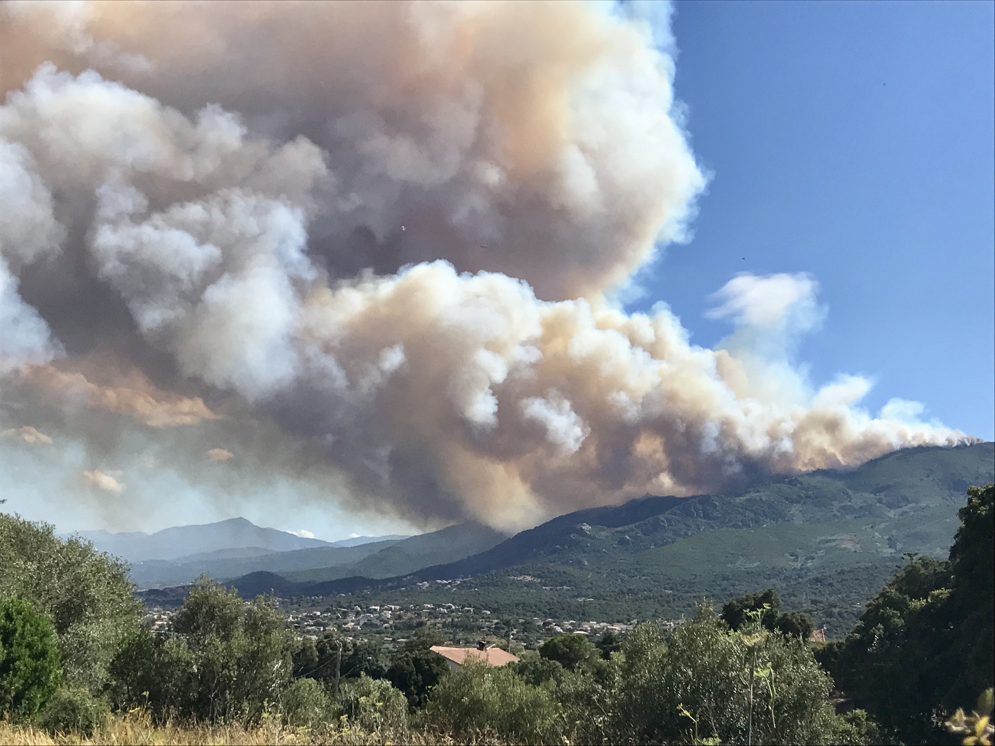 Incendies En Haute Corse Pr s D une Centaine D hectares D truits incendies-en-haute-corse-pr-s-d-une-centaine-d-hectares-d-truits
