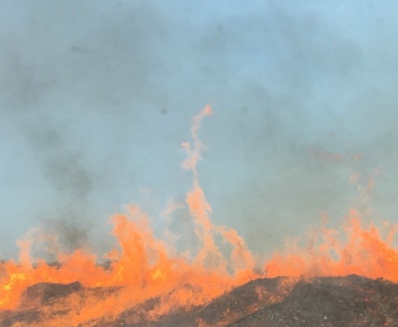 Incendies : Le feu de Palneca a basculé en Haute-Corse, avant d'être maîtrisé sur