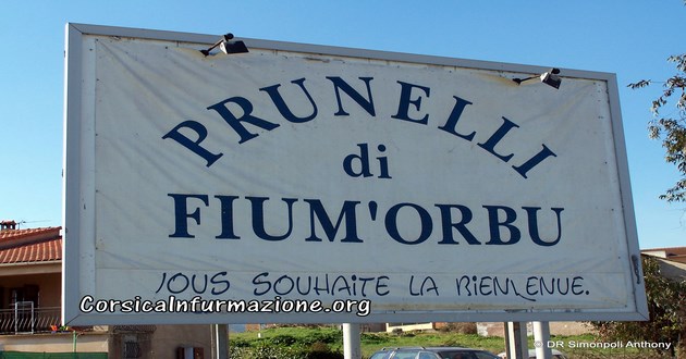 Prunelli di Fium'Orbu : Trois élus de la majorité démissionnent du conseil municipal