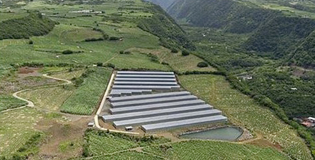 Méthanor investit 1,8 M€ dans trois centrales photovoltaïques basées en Corse
