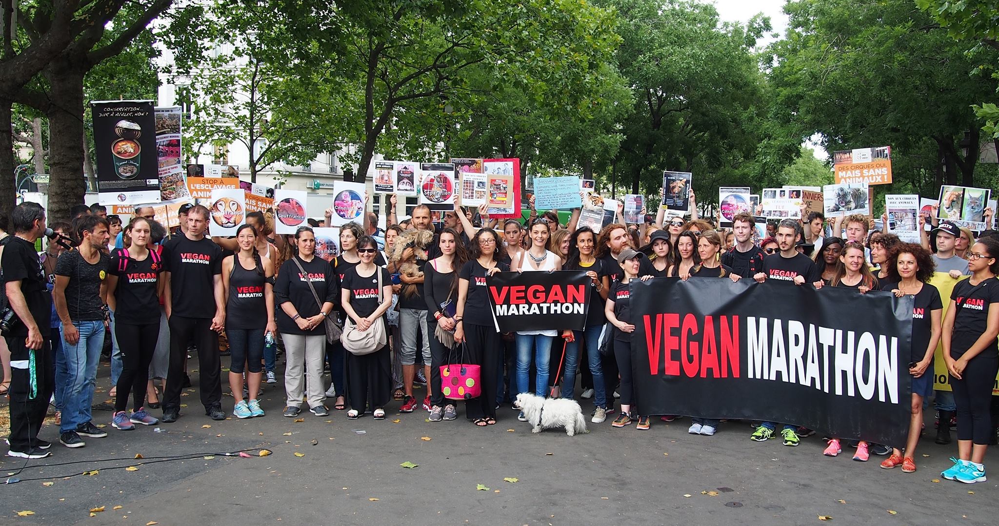 Le succès du Vegan Marathon Running Tour et de Patricia Ettori